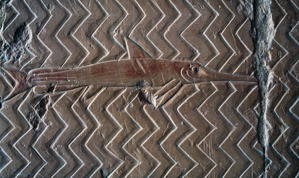 Halak ábrázolása, Punt királyság jelenetei, központi oszlopsor déli fala, Hatsepszuti halotti templom, Deir el-Bahari, Luxor, Théba (az UNESCO világörökségi listája) alkotó: Egyptian 18th Dynasty