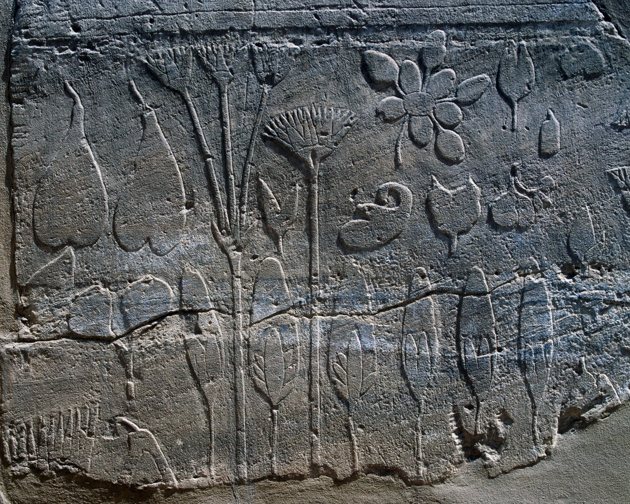III. Thutmose által Kr. e. 1465-ben Szíriából hozott növények és állatok ábrázolása, részlet a domborműből, a Karnaki templomkomplexum Botanikus kertjeként ismert teremben (Unesco Világörökségi Listája). alkotó: Egyptian 18th Dynasty
