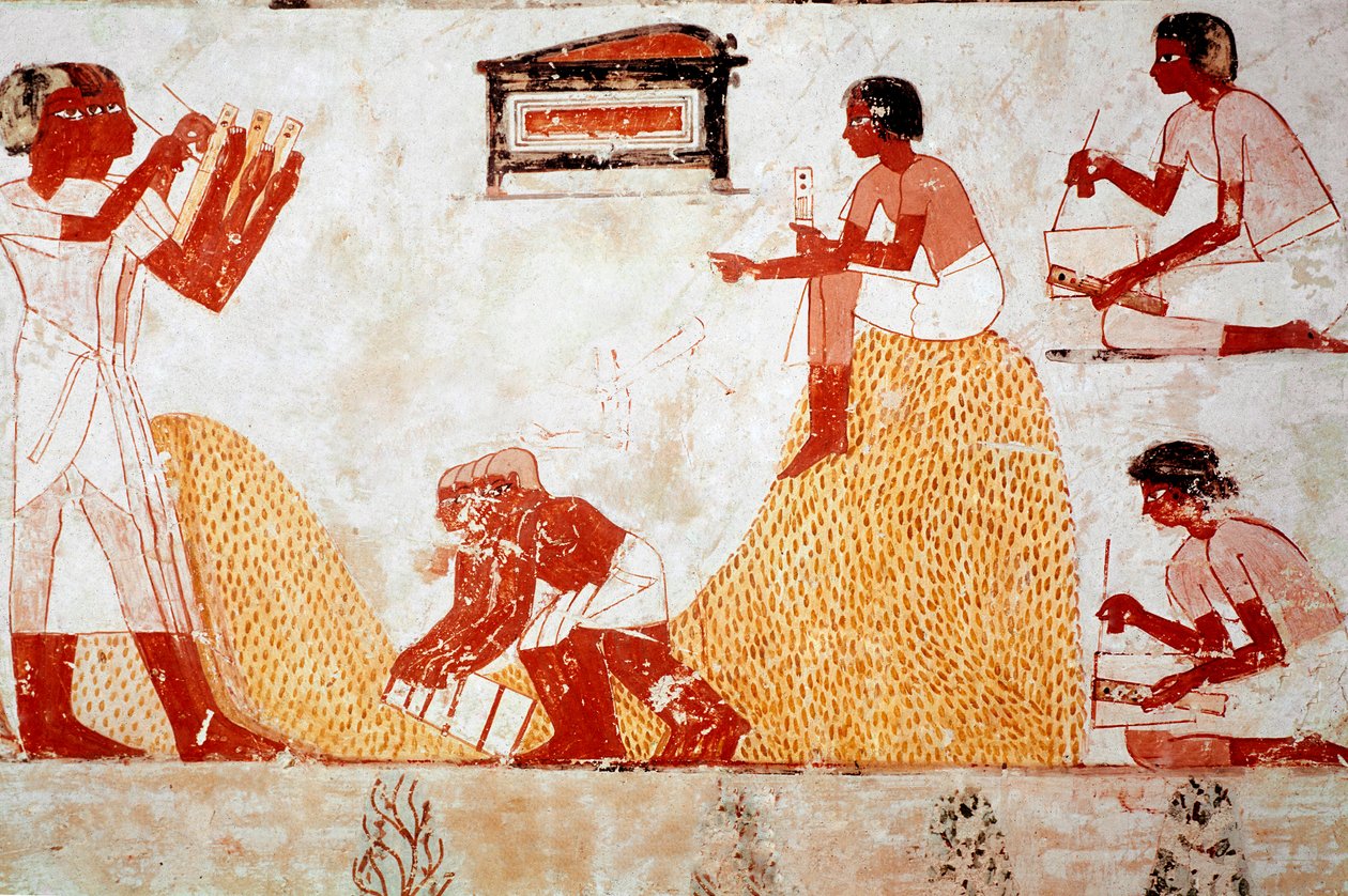 Menna sírja: Mezőgazdasági jelenet: gabonát gyűjt egy írnok felügyelete mellett, aki feljegyzi az aratást (freskó). alkotó: Egyptian 18th Dynasty