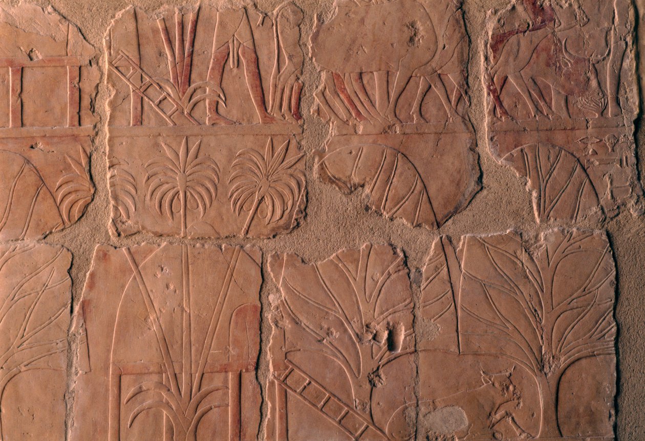 Falu kunyhókkal, a Punt királyság jelenetei, a központi oszlopsor déli fala, Hatsepszut halotti temploma, Deir el-Bahari, thébai nekropolisz (UNESCO Világörökségi Listán) alkotó: Egyptian 18th Dynasty