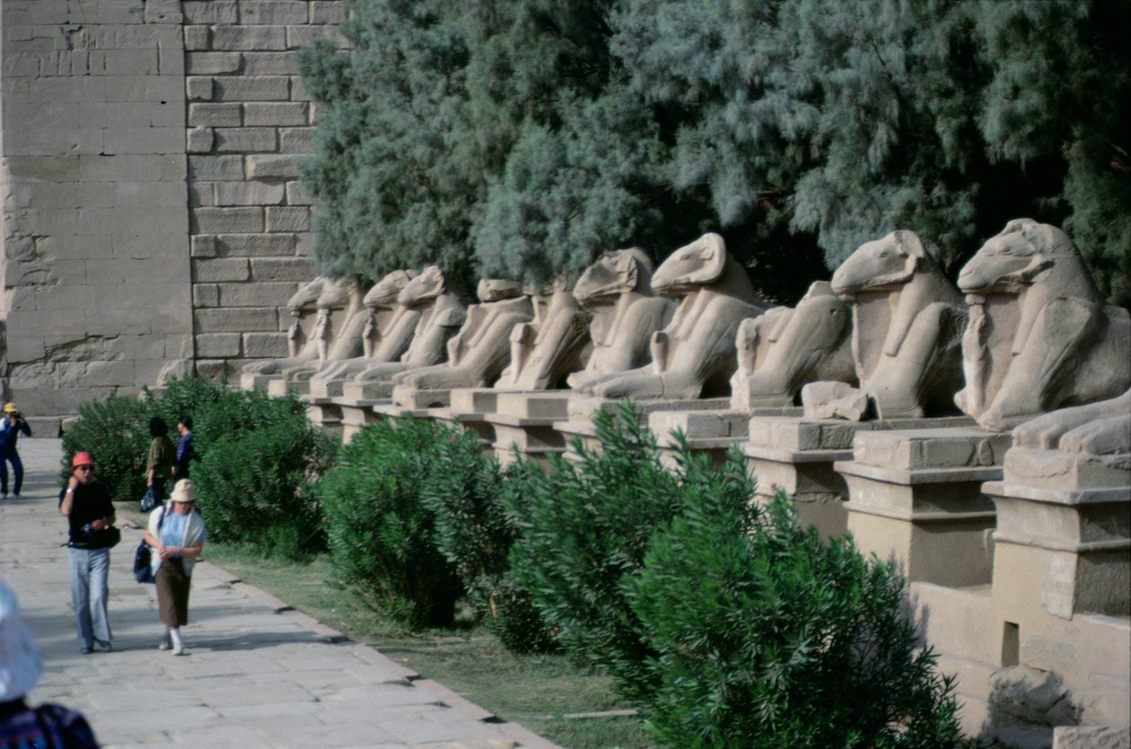 A kosfejű szfinxek sugárútja az Amun Nagy Templomához vezető körmeneti utat szegélyezve, Új Királyság alkotó: Egyptian 19th Dynasty