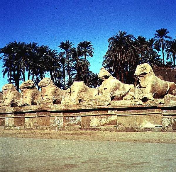 Kosfejű szfinxek sugárútja a Nagy Amun-templomhoz vezető Felvonulási úton, Újbirodalom alkotó: Egyptian 19th Dynasty
