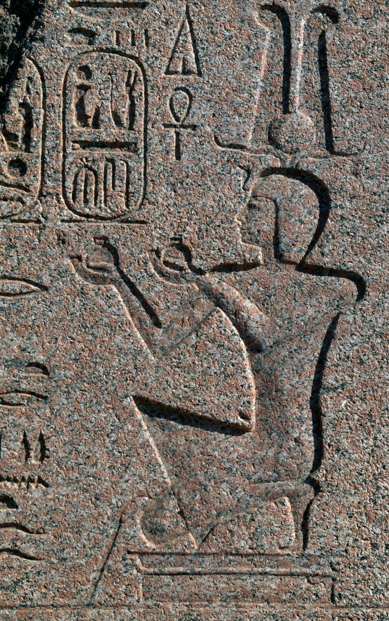 Tömb II. Ramszesz domborműveivel és felirataival, Nagy Amun-templom, Tanisz, Egyiptom, Egyiptomi civilizáció, Újbirodalom, XIX. dinasztia alkotó: Egyptian 19th Dynasty
