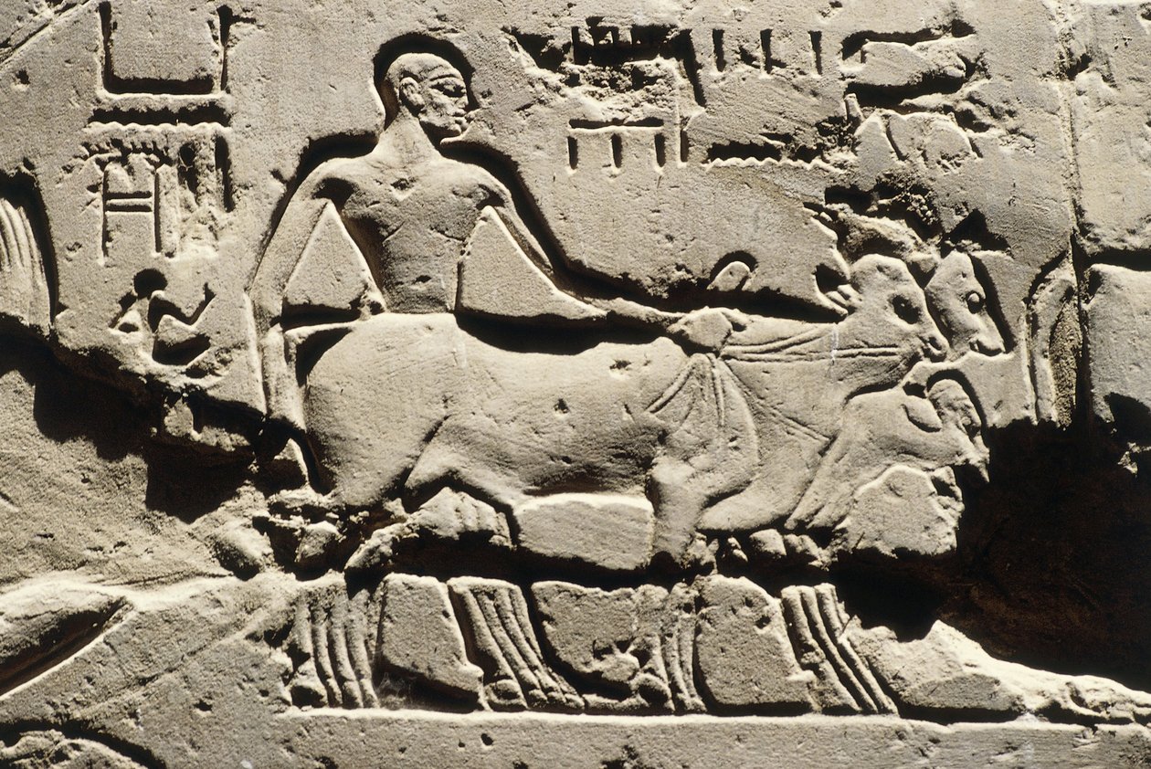 Egyiptom ókori mellett, Luxor, Luxori templom, II. Ramszesz udvara, dombormű, Újbirodalom, XIX. dinasztia (Kr. e. 1290-1224) alkotó: Egyptian 19th Dynasty