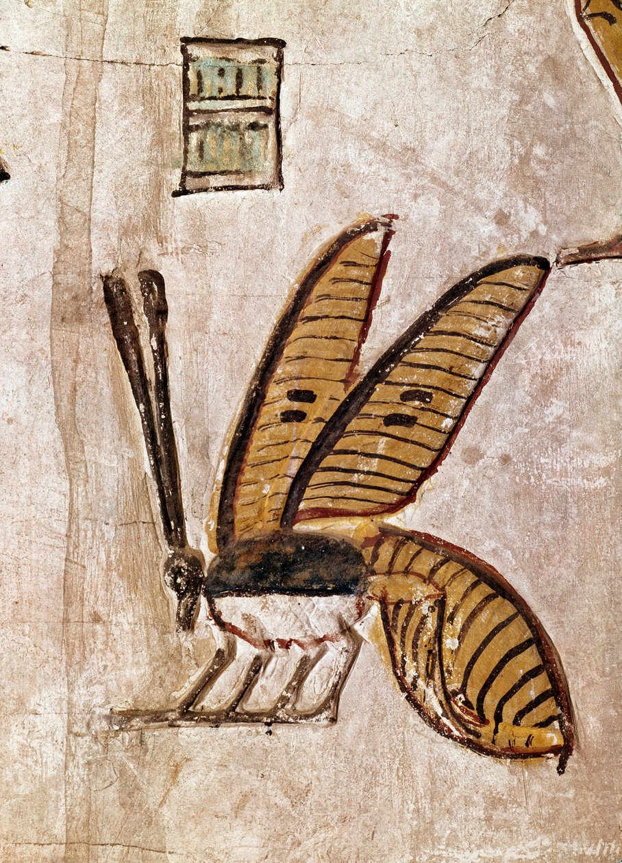 Egyiptomi művészet: Sethi I sírja (I. Sety vagy Seti I, regne -1294-től -1279-ig). A méh részlete. 19. dinasztia Luxor freskója (Téba helye a királyok völgyében), a Nílus bal partja, Egyiptom. - Az ókori Egyiptom: I. Seti sírja (I. Sety és Seti I, akik ura alkotó: Egyptian 19th Dynasty