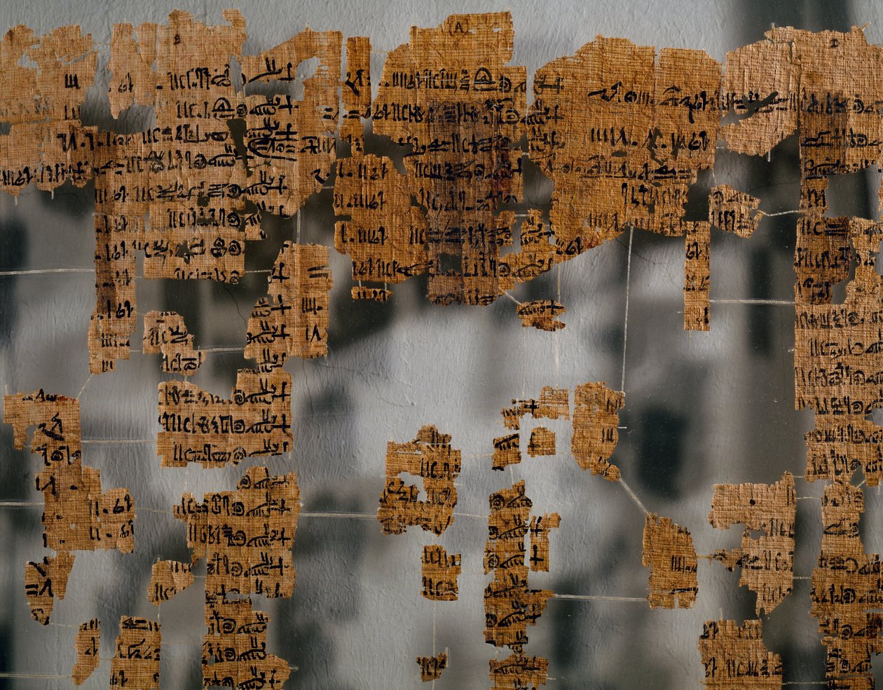 A torinói papirusz töredékei, más néven királyi papirusz vagy királyi kánonpapirusz, kb. 41 x 170 cm, valószínűleg II. Ramszesz uralkodásának idejéből, Théba, Egyiptomi civilizáció, Újbirodalom, XIX. dinasztia. alkotó: Egyptian 19th Dynasty