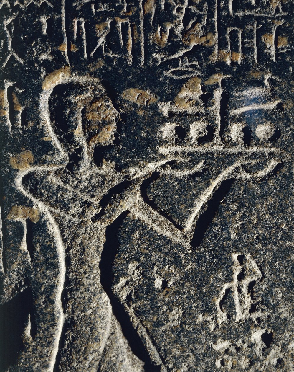 Merneptah herceget ábrázoló gránitszobor, Ptah istennek szentelve. alkotó: Egyptian 19th Dynasty