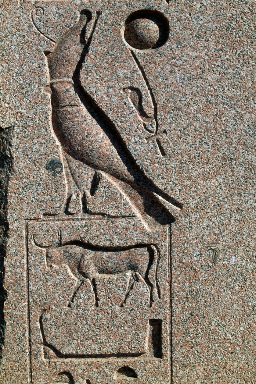 Hieroglifa Hórusz nevével, Amun Nagy Temploma, Tanisz, Egyiptom, Újbirodalom, XIX. dinasztia alkotó: Egyptian 19th Dynasty
