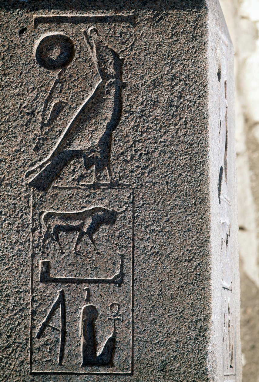 Hieroglifa Hórusz nevével, Amun Nagy Temploma, Tanisz, Egyiptom, Újbirodalom, XIX. dinasztia alkotó: Egyptian 19th Dynasty