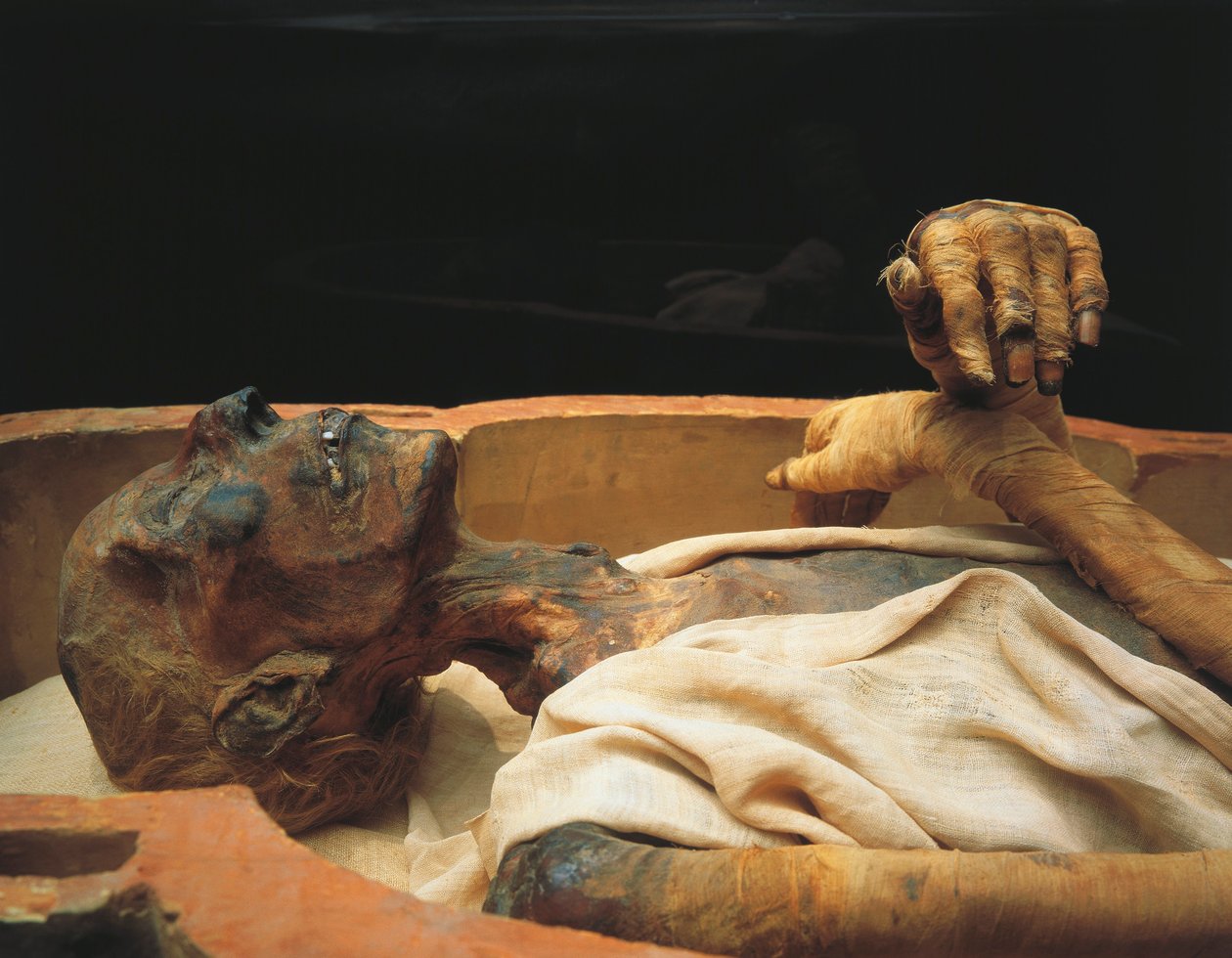 II. Ramszesz múmiája, részlet alkotó: Egyptian 19th Dynasty