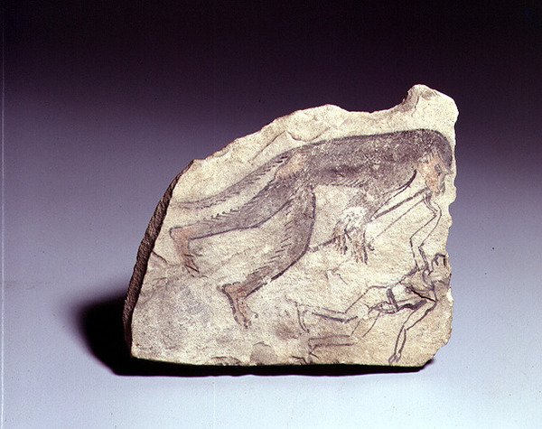 Ostracon egy furulyázó majomfigurával, New Kingdom (festett mészkő) alkotó: Egyptian 19th Dynasty