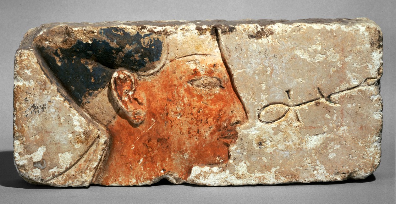 Egy király profilja, valószínűleg II. Ramszesz - Profile of Pharaoh Ramses II. Festett mészkő ... alkotó: Egyptian 19th Dynasty