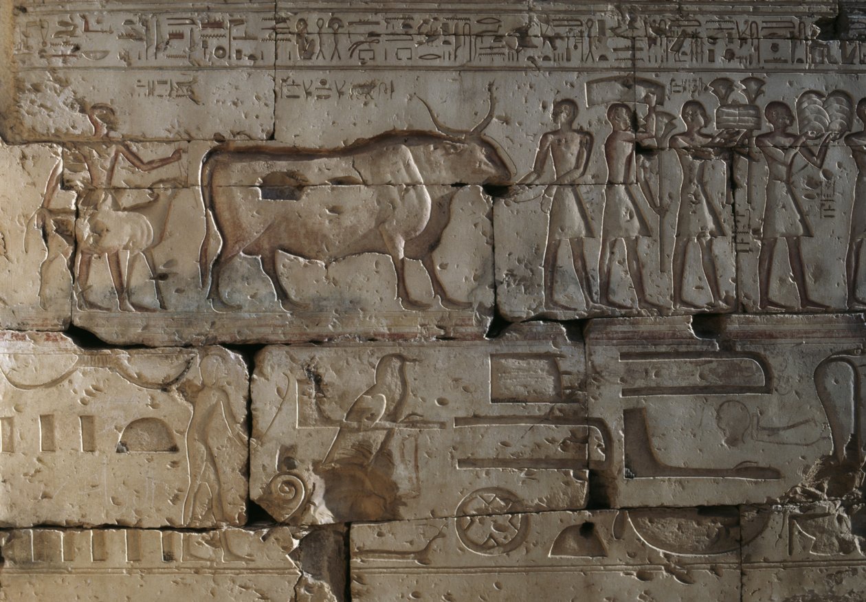 Dombormű, Ramszesz temploma, Abydos, Egyiptom, egyiptomi civilizáció, Újbirodalom, XIX. dinasztia (fotó) alkotó: Egyptian 19th Dynasty