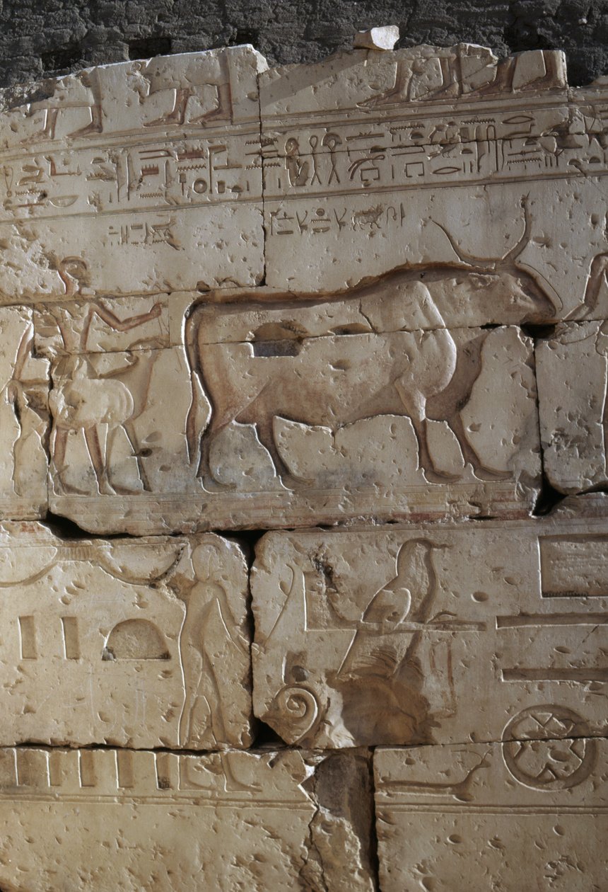 Dombormű, Ramszesz temploma, Abydos, Egyiptom, egyiptomi civilizáció, Újbirodalom, XIX. dinasztia (fotó) alkotó: Egyptian 19th Dynasty