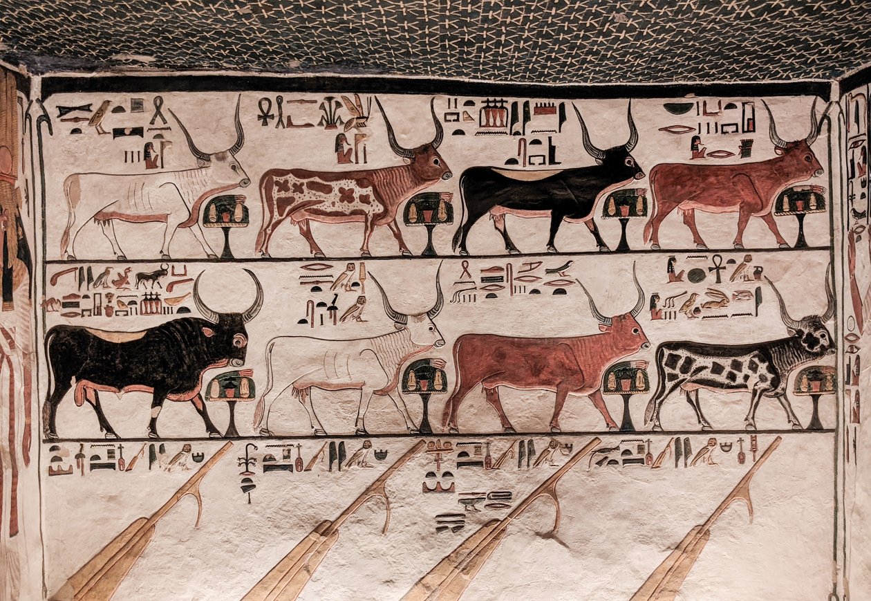 Nefertari sírja (falfestmény) alkotó: Egyptian 19th Dynasty