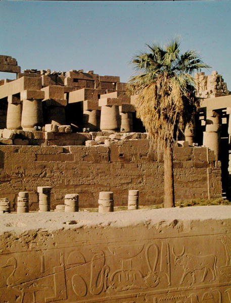 Ramszesz fala és Tuthmosis temploma alkotó: Egyptian 19th Dynasty