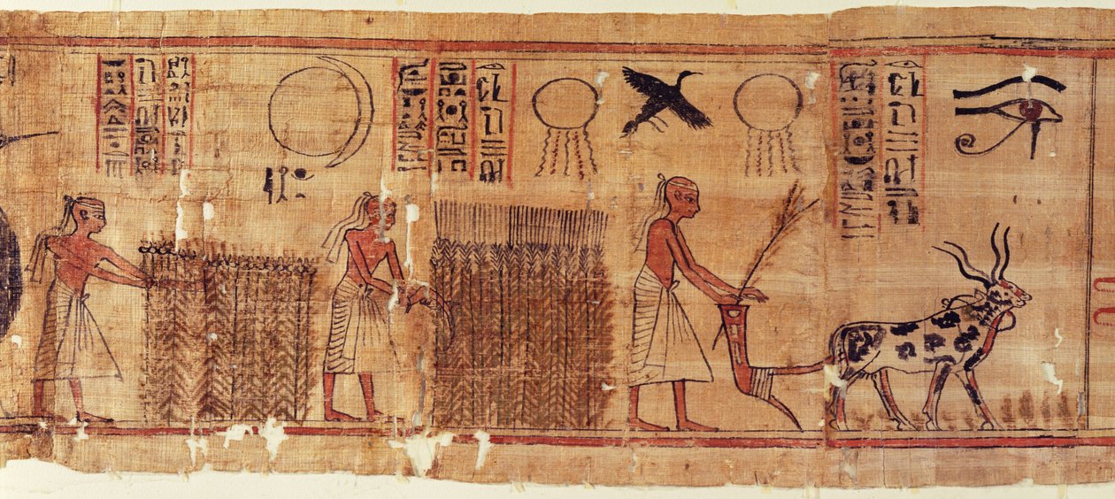Neb-Hepet halottak könyve, a mezők részlete alkotó: Egyptian 21st Dynasty