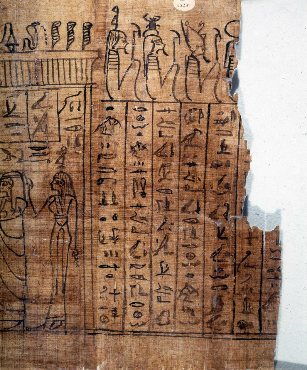A halottak könyve: Egyiptomi hieroglifa a 22. dinasztia papiruszán. Részlet. Kr.e. 9. század. Torino, Egyiptomi Múzeum. alkotó: Egyptian 22nd Dynasty