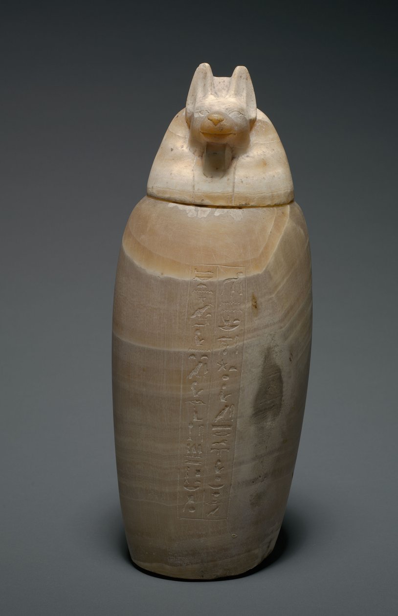 Canopic Jar sakálfejjel, ie 664-525 alkotó: Egyptian 26th Dynasty