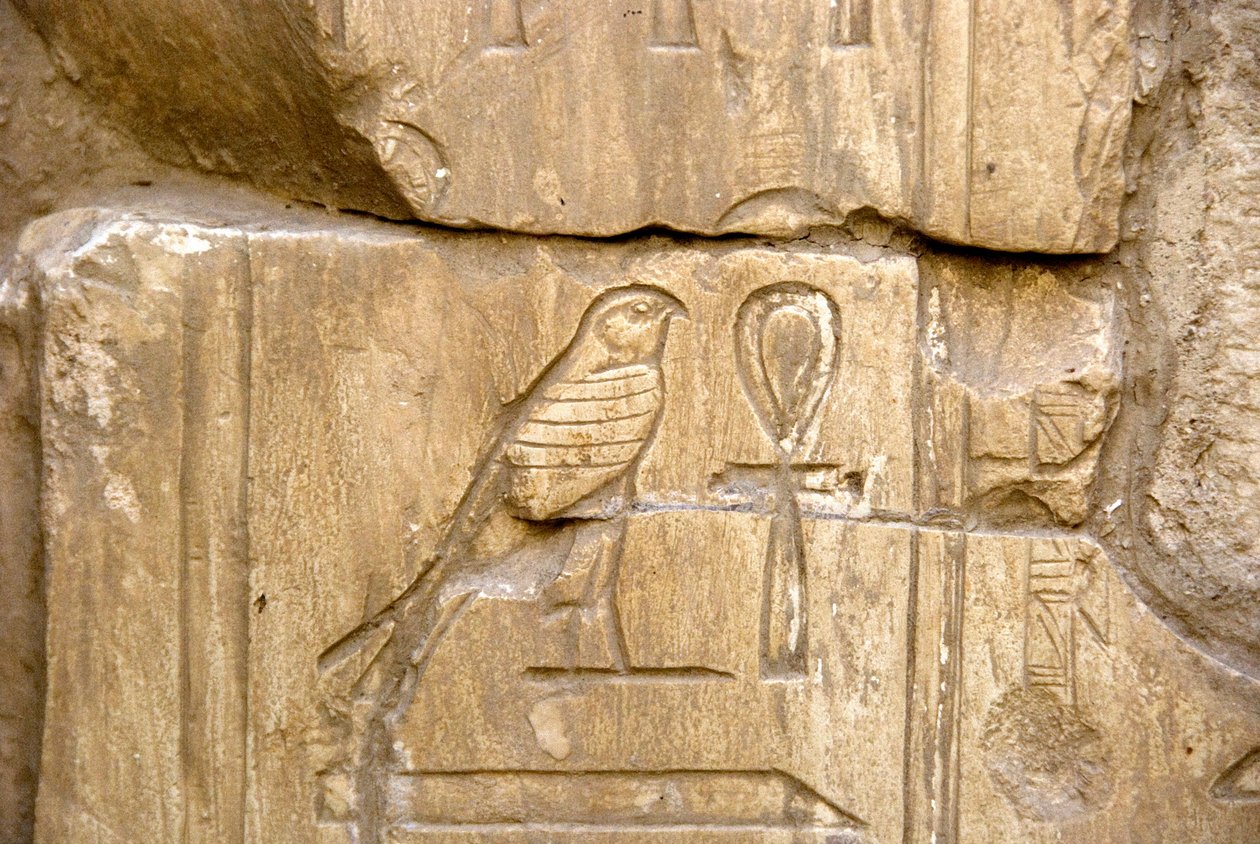 Egyiptomi ókor: Ankh Hor tölténye. Ankh-Hor sírja (Ankh Hor) (TT414) (26. dinasztia, ie 672-525), Luxor (Théba), Egyiptom alkotó: Egyptian 26th Dynasty