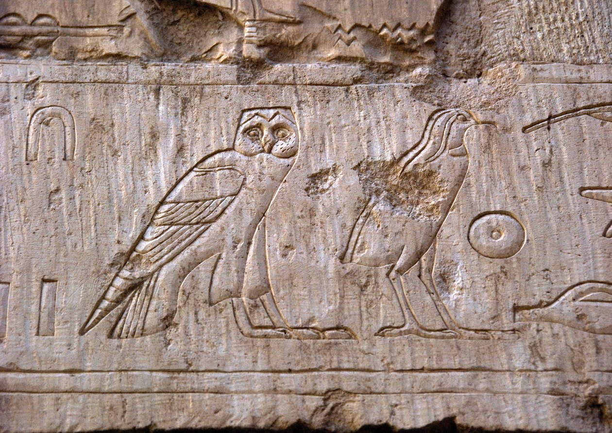 Egyiptomi ókor: baglyot és sast ábrázoló dombormű. Ankh-Hor sírja (Ankh Hor) (TT414) (26. dinasztia, ie 672-525), Luxor (Théba), Egyiptom alkotó: Egyptian 26th Dynasty