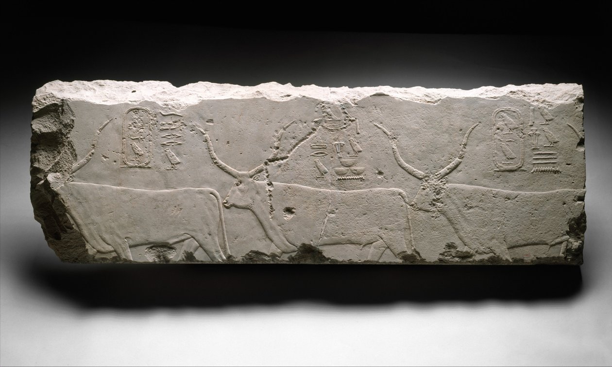 Domborműtöredék Hufu király szarvasmarháival, 2535 körül (mészkő) alkotó: Egyptian 4th Dynasty