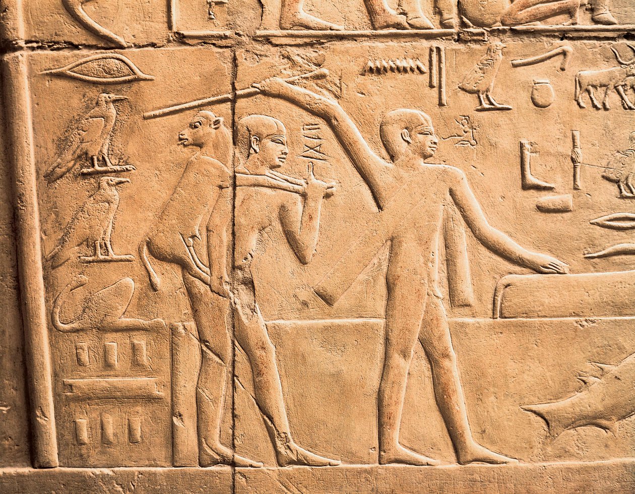 Mezőgazdasági munka jelenetei, részlet alkotó: Egyptian 4th Dynasty