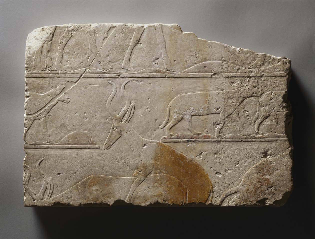 Sivatagi állatok domborműve, Óbirodalom, Szakkarában, ie 2472-2455 körül (festett mészkő) alkotó: Egyptian 5th Dynasty