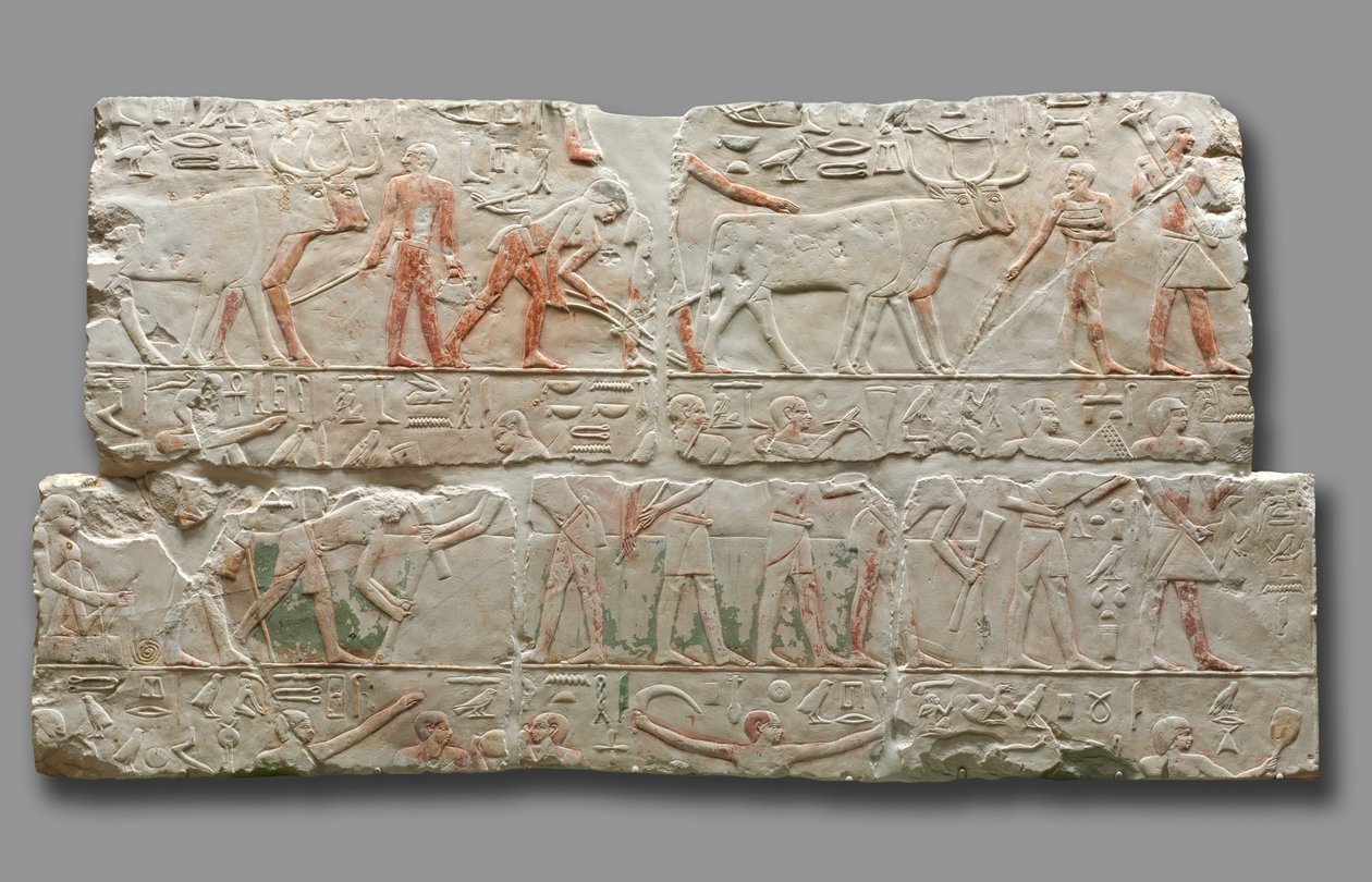 Mezőgazdasági jelenetek domborműve, Szakkarából, 2311-2281 körül alkotó: Egyptian 6th Dynasty