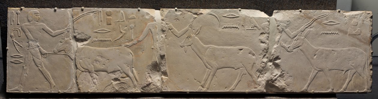 A sivatagi állatokat hozó férfiak megkönnyebbülése, Kr.e. 2311-2281 alkotó: Egyptian 6th Dynasty