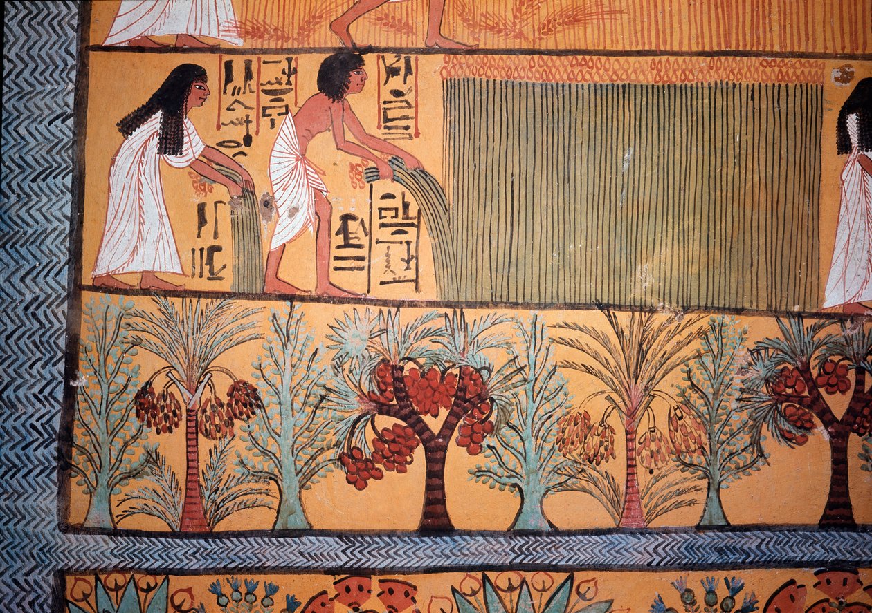 Szüreti jelenet (falfestés alkotó: Egyptian Egyptian
