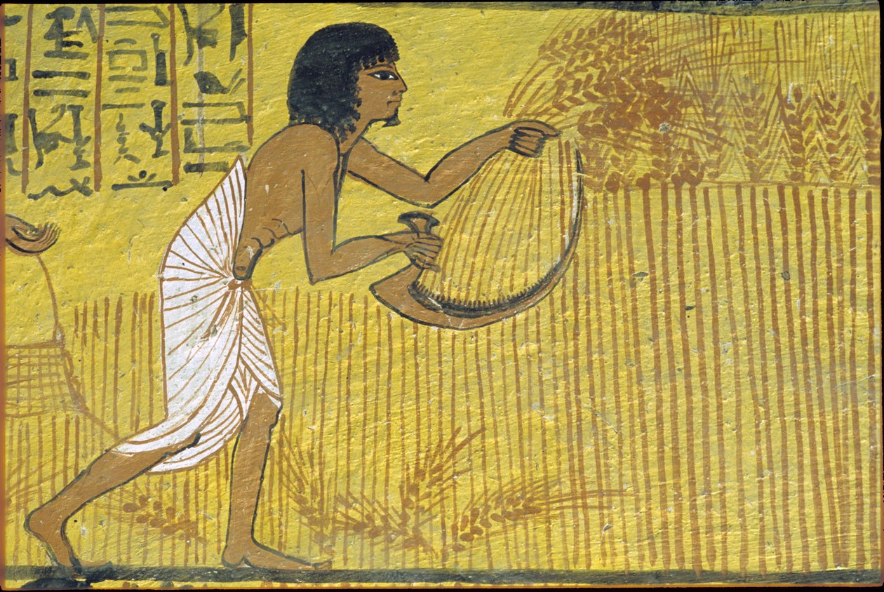 Ókori Egyiptom, falfestmény, Szennedzsem sírja, Nemesek sírja, Théba, Deir el Medina, Deir el Medina alkotó: Egyptian Egyptian