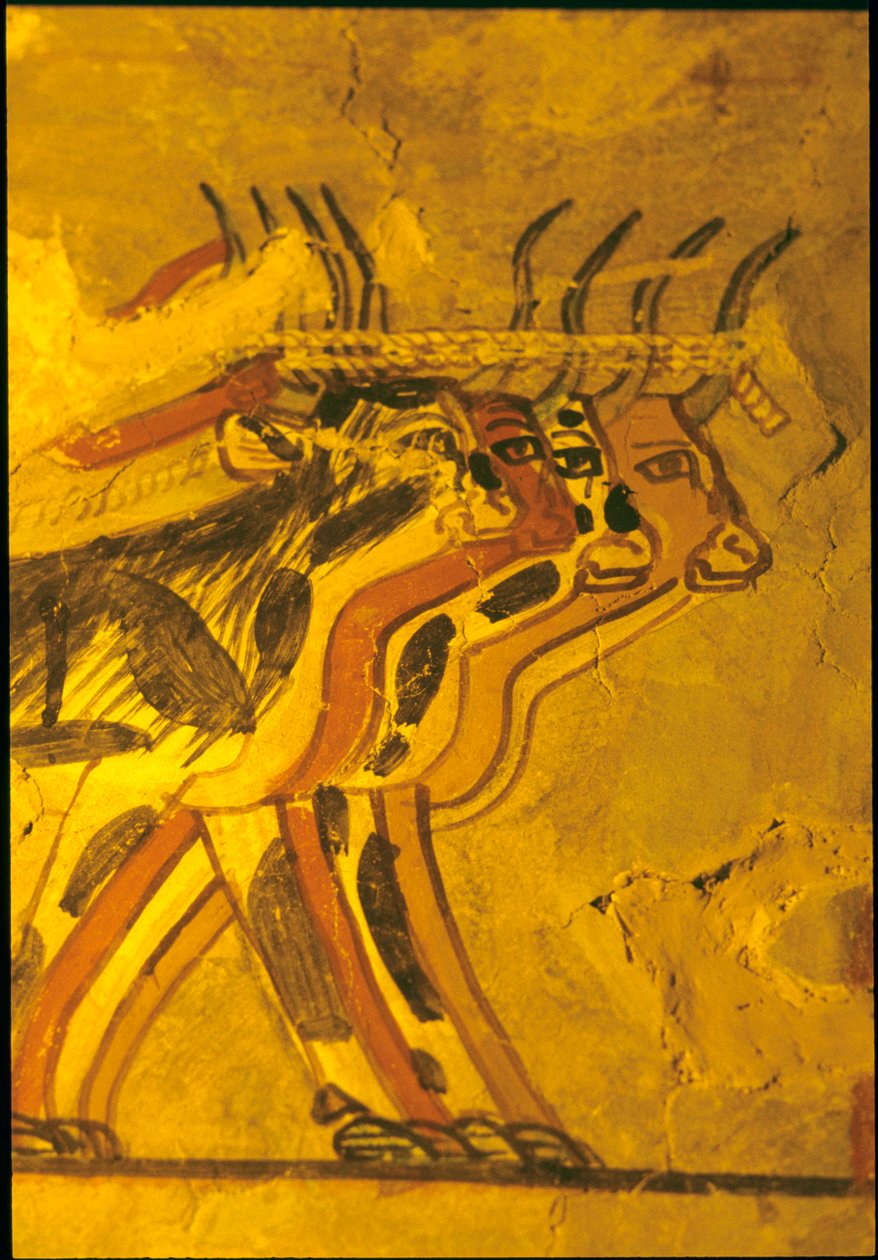 Ókori Egyiptom, Falfestmény, Szennufer sírja, Nemesi sír, Théba, Théba alkotó: Egyptian Egyptian
