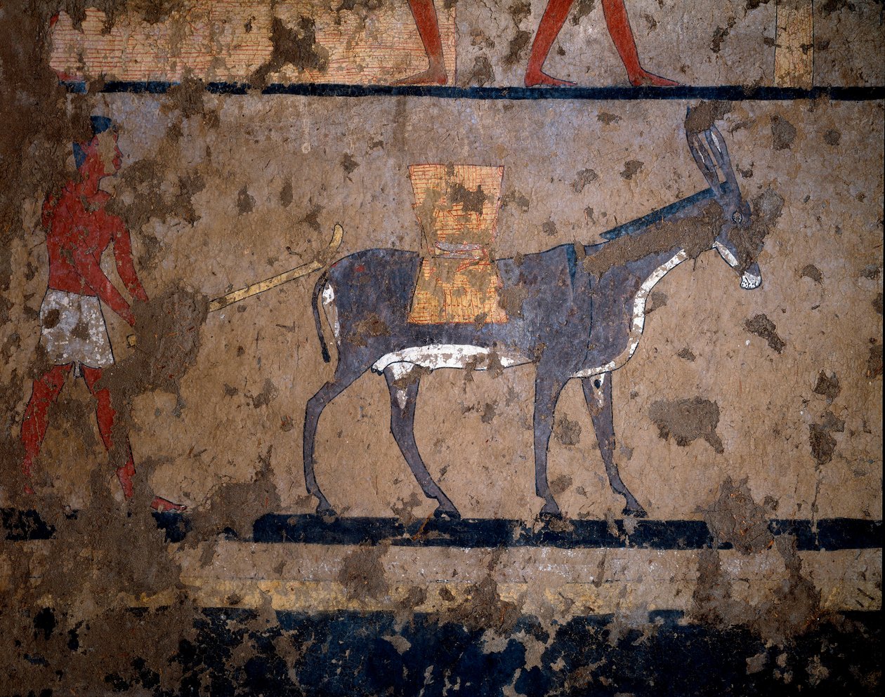 Egyiptomi ókor: „” gabonaszállítás öszvér hátán”” Temperafestmény Iti (vagy Ity) király kancellár sírjának faláról Kr.e. 2200-2000. El Ghebelenből, Luxorból. Torino, egyiptomi múzeum alkotó: Egyptian Egyptian