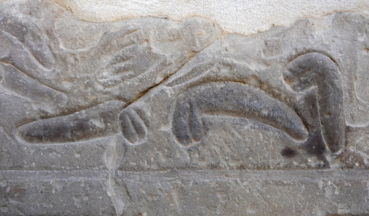 Az ellenség által levágott férfi nemi szervek halmai, Hórusz temploma, Edfu alkotó: Egyptian Egyptian