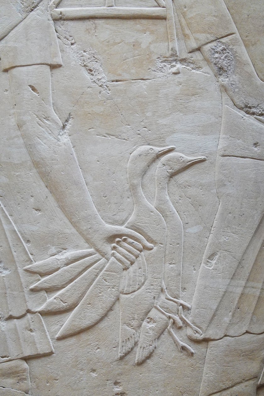 2 libát szárnyánál fogva tartó kéz, Ramose sírja alkotó: Egyptian Egyptian