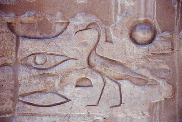 Hieroglifák oszlopról, Luxor Temple (fotó) alkotó: Egyptian Egyptian