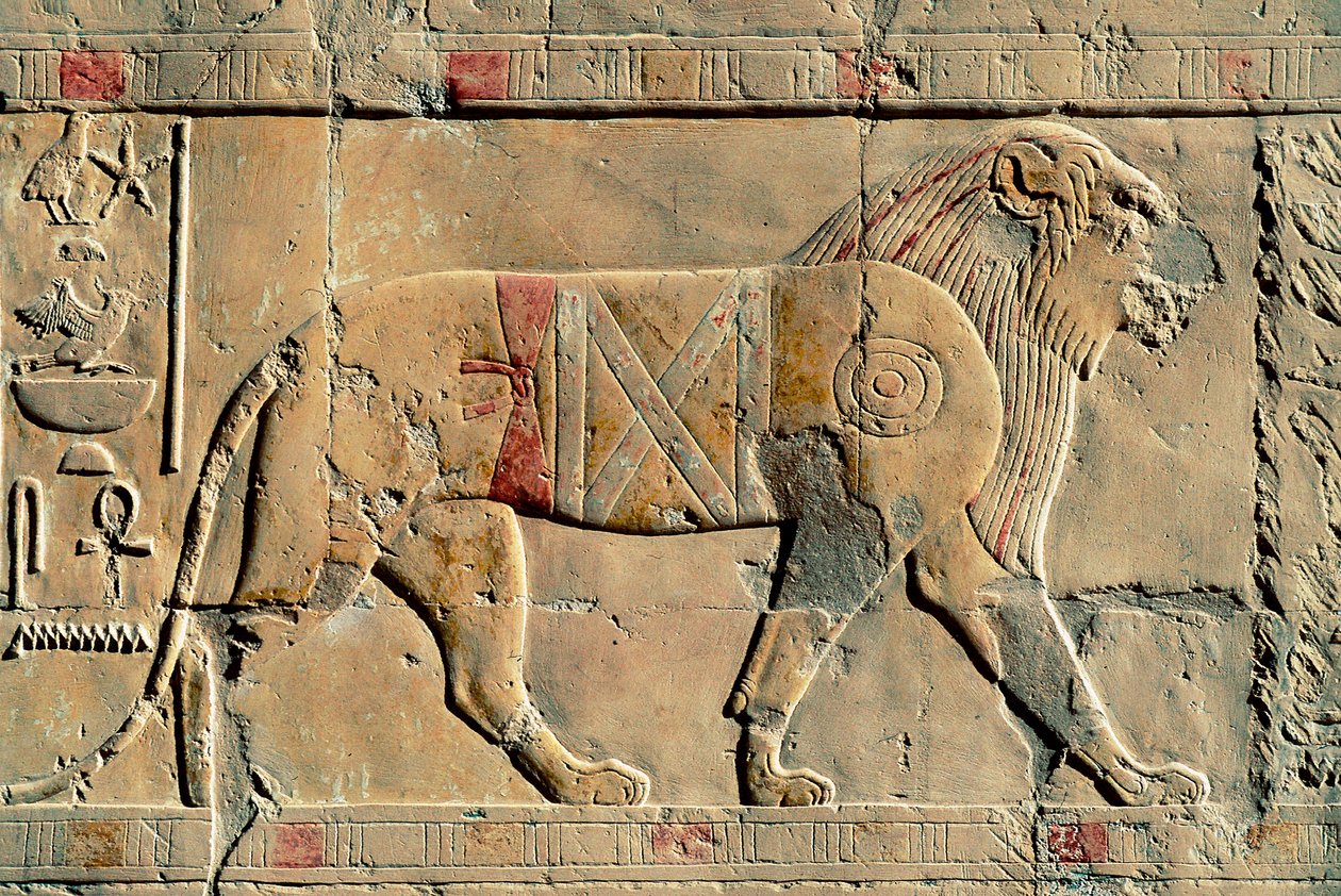 Oroszlán, Senenmut, Hatsepszuti templom, Dayr al-Bahri, Egyiptom alkotó: Egyptian Egyptian