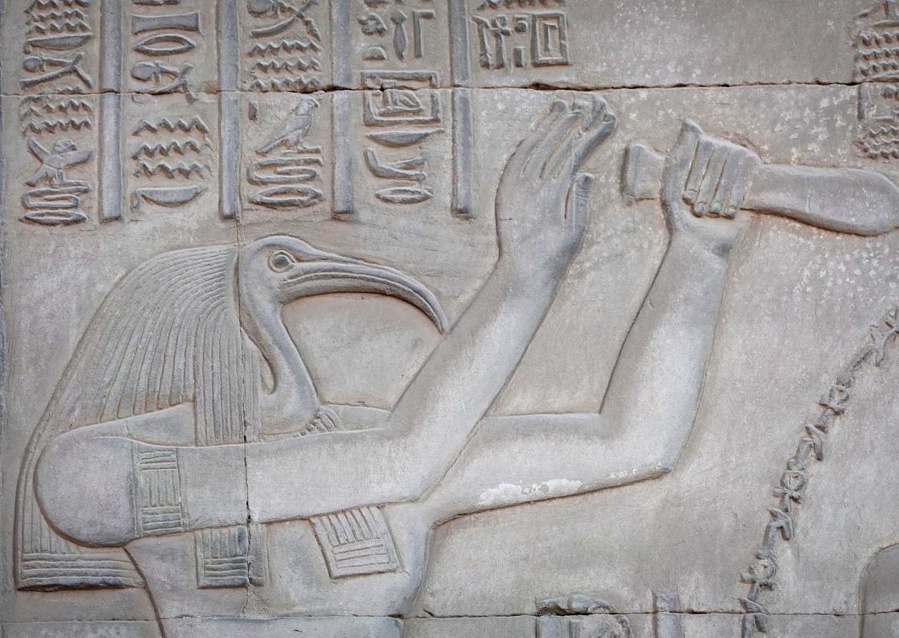 Thot, Kom Ombo templom (dombormű) alkotó: Egyptian Egyptian
