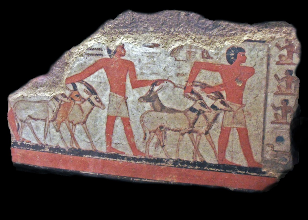 sivatag (oryx, gazellák) Metchetch elé kerülnek. Ókori egyiptomi falfestmény alkotó: Egyptian Egyptian