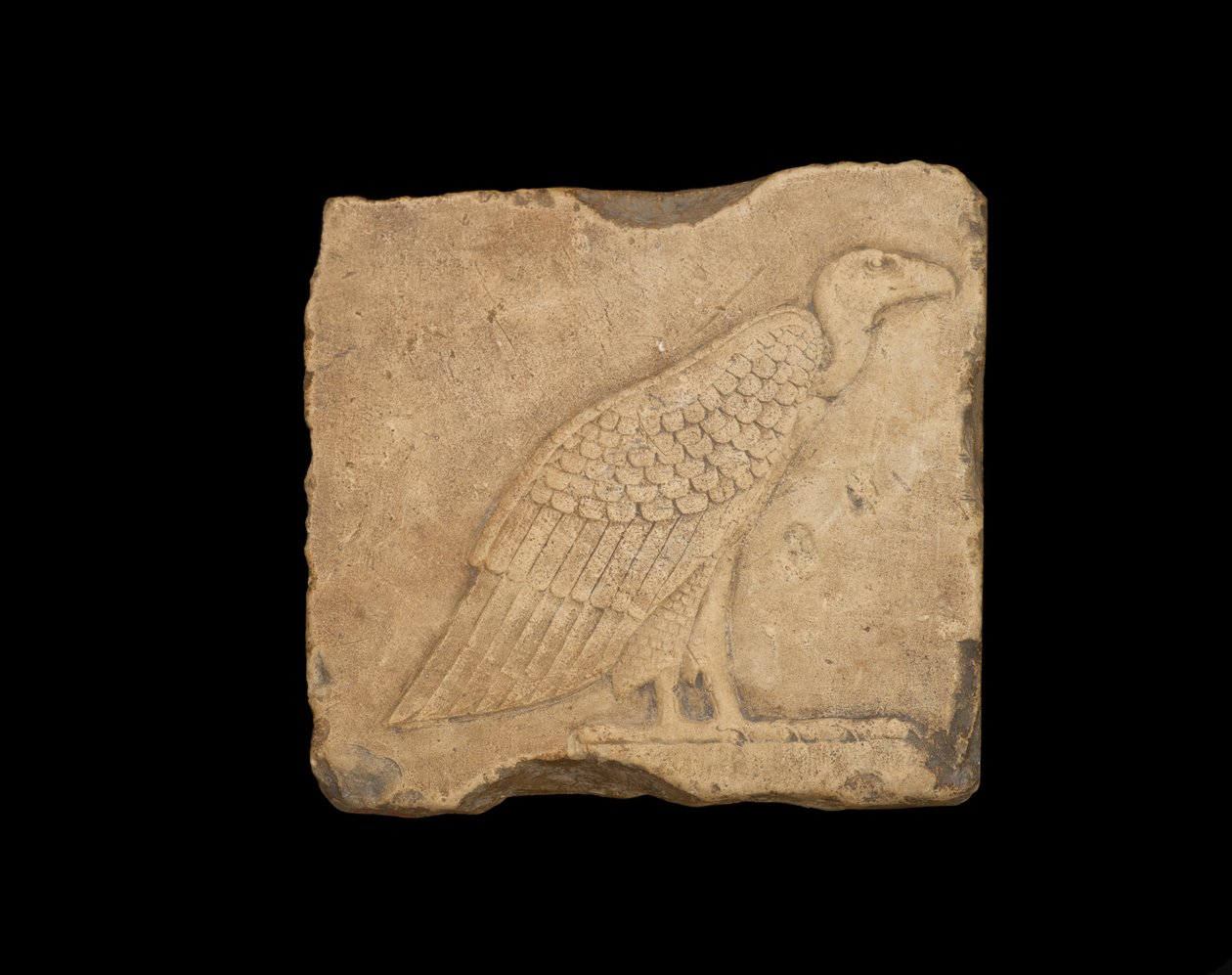 Egy tömb egyik oldalán álló keselyűvel, a másik oldalán bagolytal, mindkettő alacsony domborművel, Ptolemaioszi korszak, Kr.e. 305-30 (mészkő) alkotó: Egyptian Ptolemaic Period