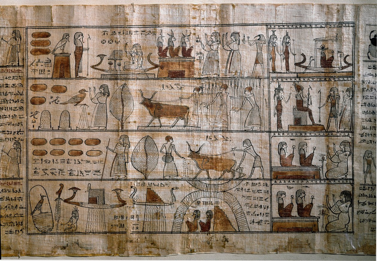 Egyiptomi ókor: az Elysée-mezők. A halottak könyvének papirusza. Ptolemaioszi időszak. Torino, egyiptomi múzeum alkotó: Egyptian Ptolemaic Period