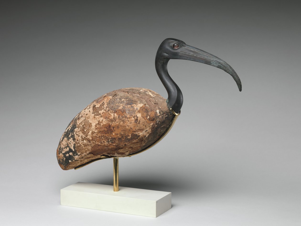 Ibis (festett fa és bronz, üveg szemek) alkotó: Egyptian Ptolemaic Period