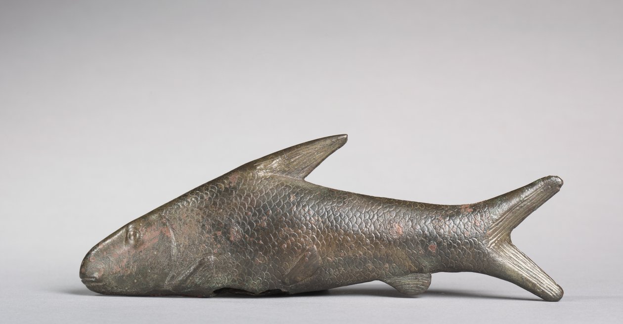 Lepidotus hal, görög-római korszak, ie 305-30 alkotó: Egyptian Ptolemaic Period
