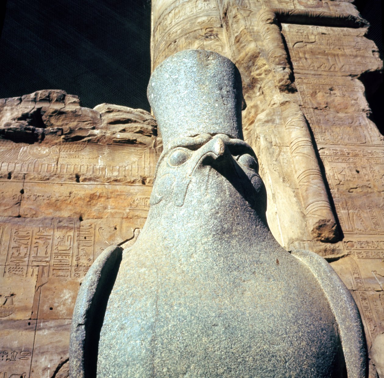Hórusz-szobor a Hórusz-templom áldozati udvarában (részlet) alkotó: Egyptian Ptolemaic Period