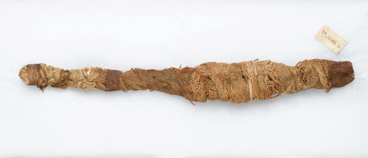 Krokodilmúmia, Manfalontban találták, ie 305-i.e. 30 (állati maradványok és ágynemű) alkotó: Egyptian School