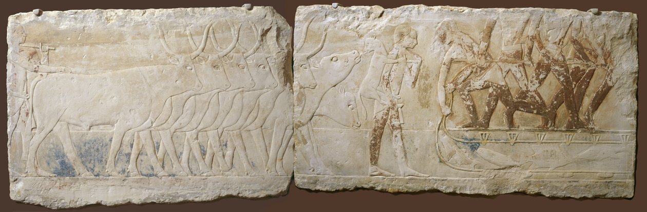 Szarvasmarhát hajtó és halászó parasztok domborműve, Óbirodalom, ie 2450-2290 (festett mészkő) alkotó: Egyptian School
