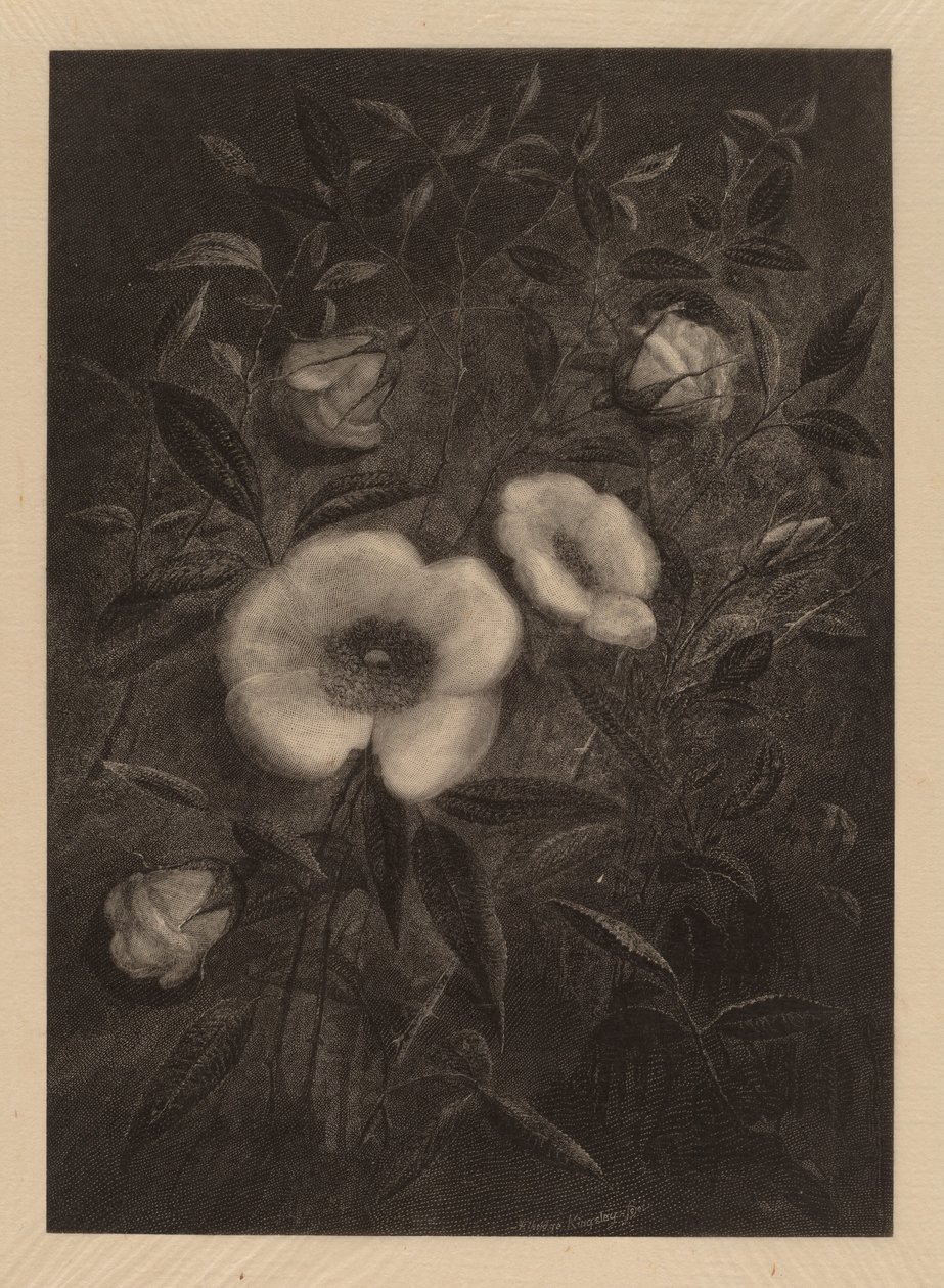 Wild Roses   1249687   hu       hungarian Successfully Translated  Original: Vejsving med piletræ Translat: Vejsving med piletræ 1279713 hu hungarian Successfully Translated Original: Denmark: Skagen, Bathing at Evening (colour litho) Translat: Denmark: Sk alkotó: Elbridge Kingsley