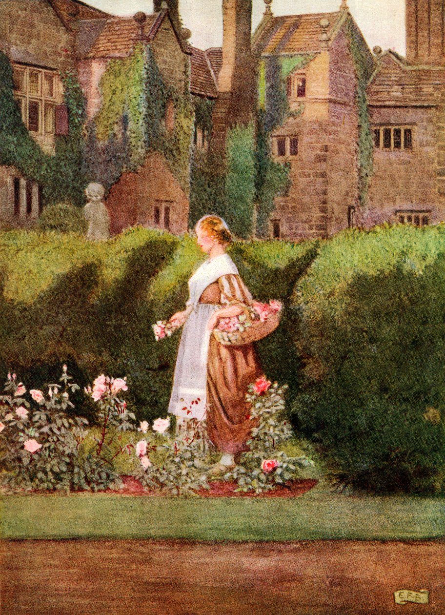 Illusztráció Anon Cherry Ripe című verséhez, a „Palgrave dalok és szövegek aranykincse” című könyvéből, 1919-ben megjelent (színes litó) alkotó: Eleanor Fortescue Brickdale