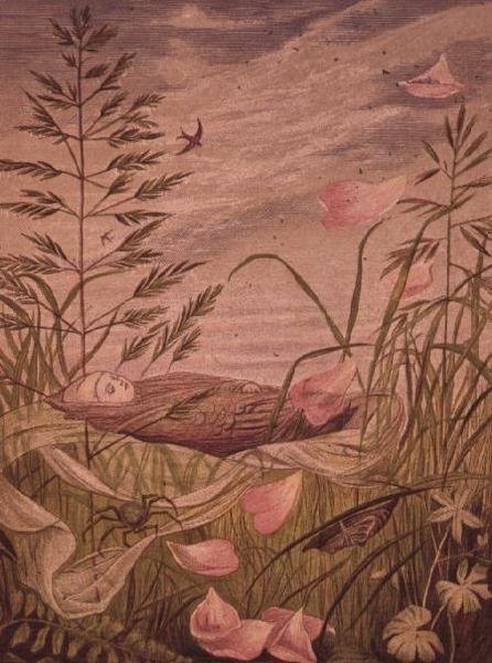 Amikor kezdődik a tavasz alkotó: Eleanor Vere Boyle